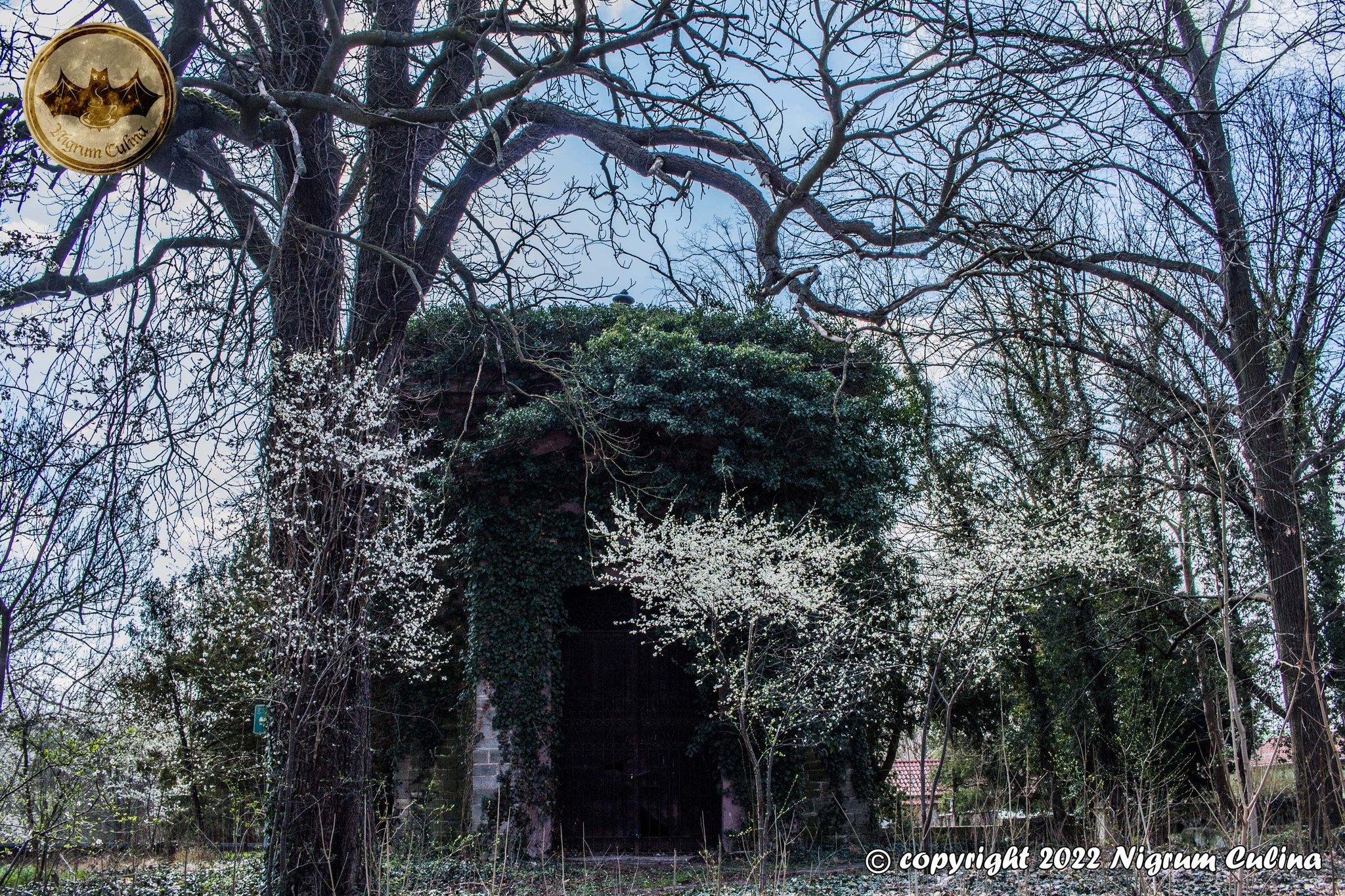 Mausoleum Familie Kork-Schönfeld – LOST PLACES - März 2022