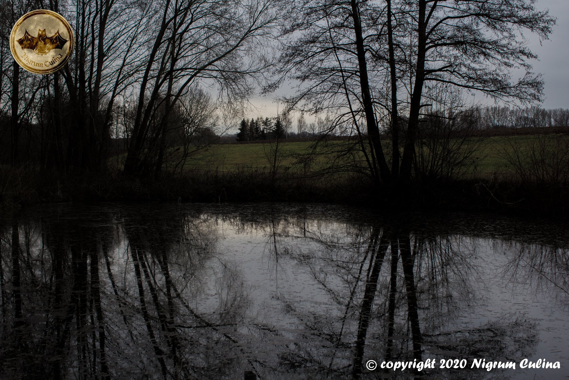 Hirschgrund (Oberlungwitz) 13. Dezember 